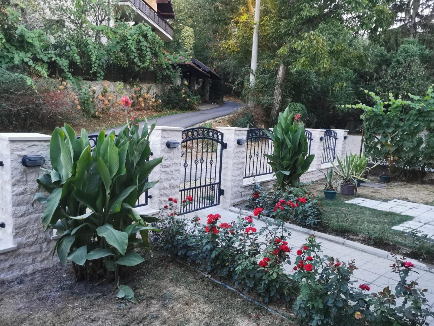 Apartmani "Vila Jelena" Arandjelovac Exterior foto